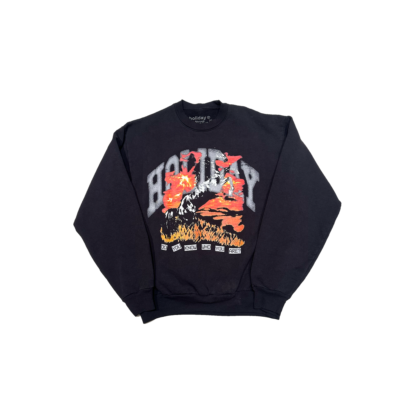 WHO ARE YOU CREWNECK