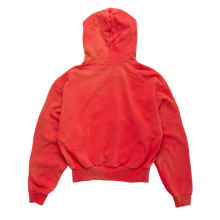 HARVARD HOODIE