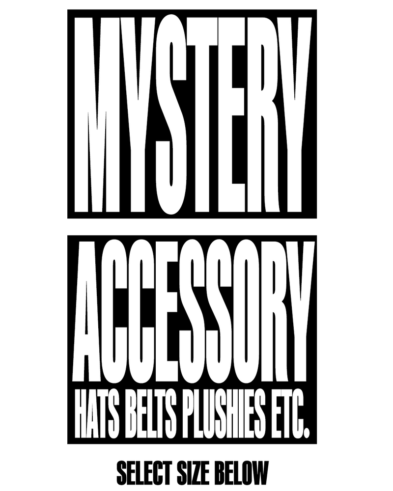 MYSTERY ACCESSORY (HATS / PLUSHIE / BELTS / ETC. )