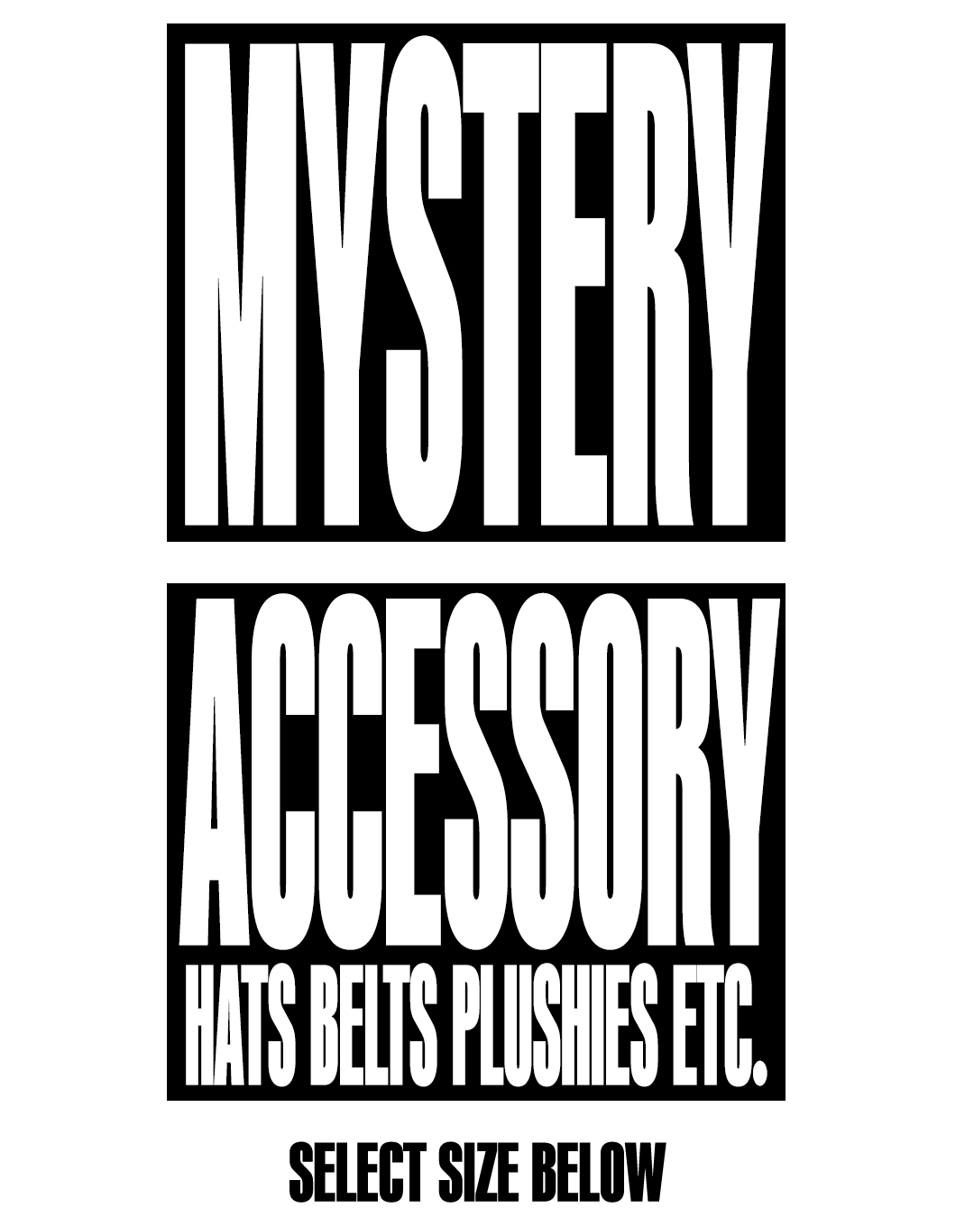 MYSTERY ACCESSORY (HATS / PLUSHIE / BELTS / ETC. )