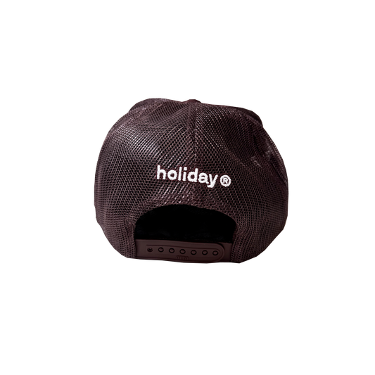 BROWN TRUCKER